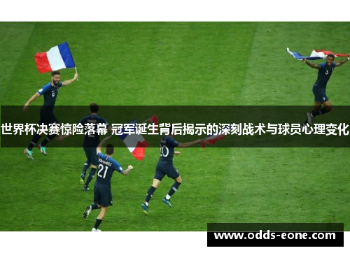 世界杯决赛惊险落幕 冠军诞生背后揭示的深刻战术与球员心理变化