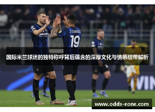 国际米兰球迷的独特称呼背后蕴含的深厚文化与情感纽带解析